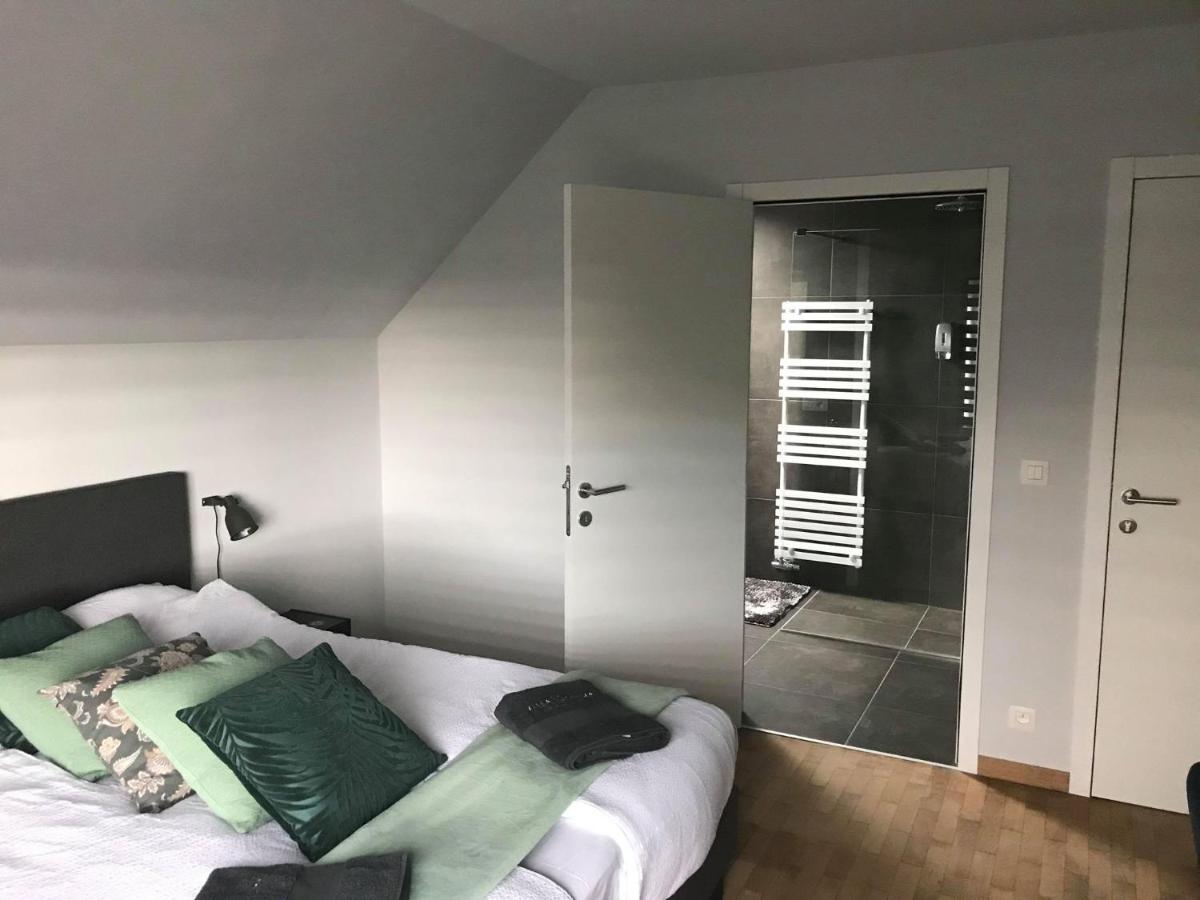 Villa Cecha B&B &Wellness 奥斯滕德 外观 照片