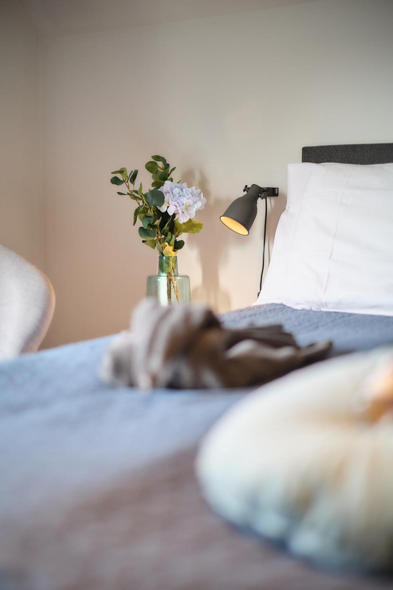 Villa Cecha B&B &Wellness 奥斯滕德 外观 照片