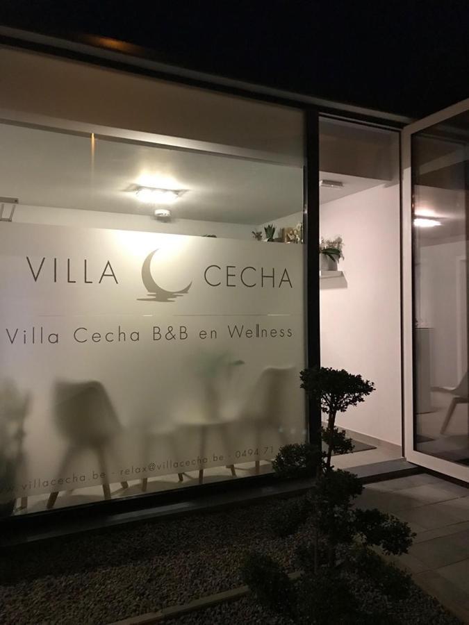 Villa Cecha B&B &Wellness 奥斯滕德 外观 照片